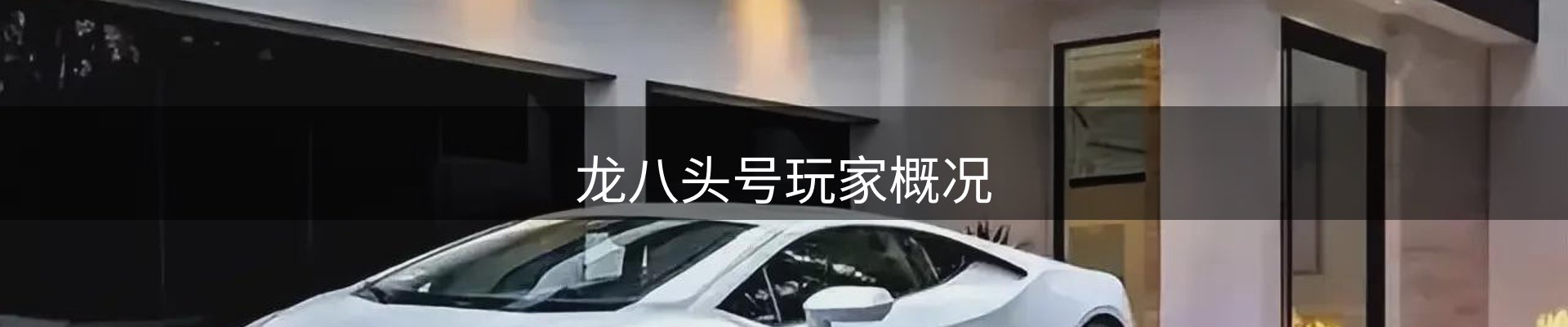 龙八头号玩家概况